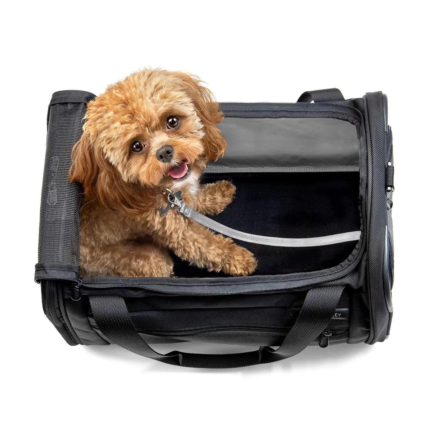Briggs & Riley Pet Carrier, Black, One Size