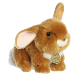 Ear Up Ear Down Bunny Ginger