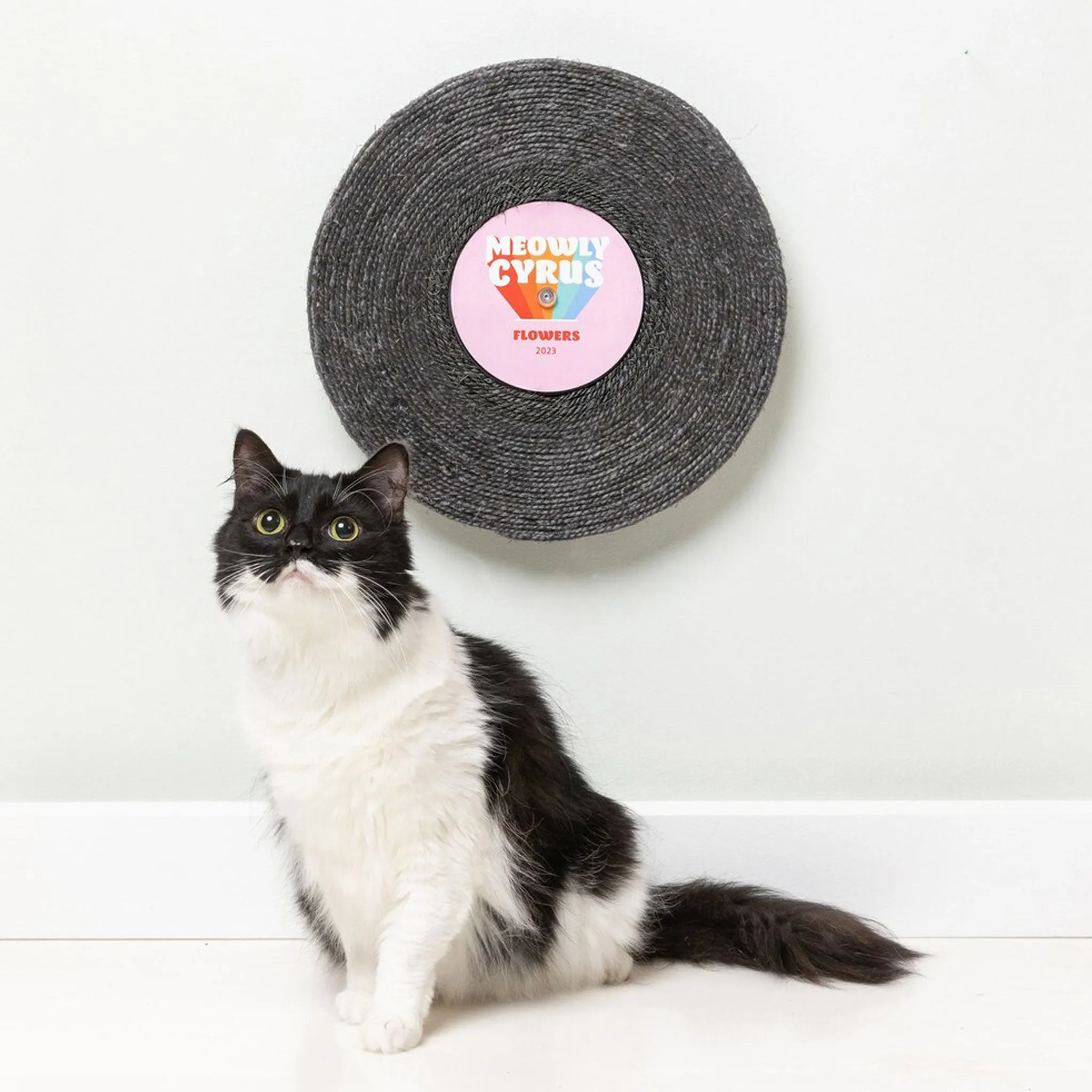 Fuzzyard Meowly Cyrus Record Scratcher