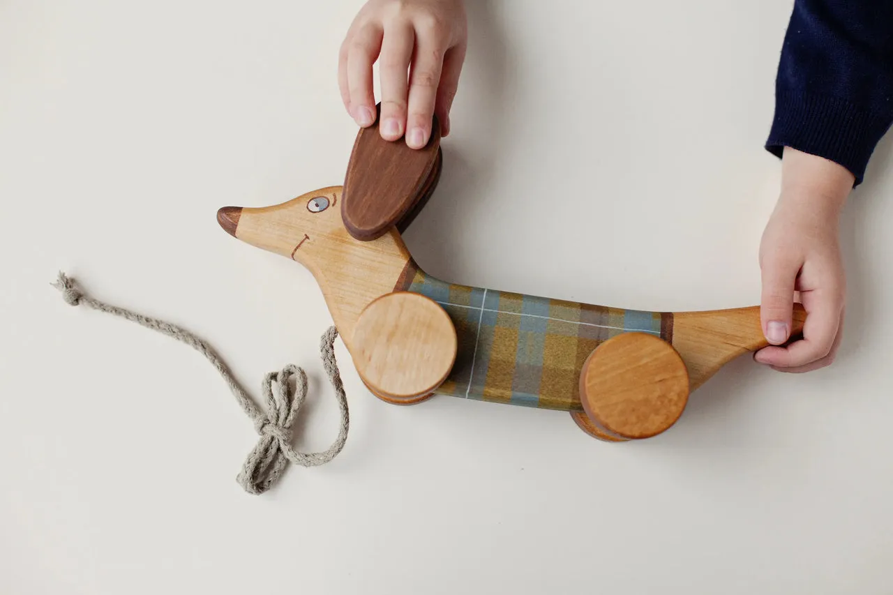 Pull Toy Green Sausage Dog