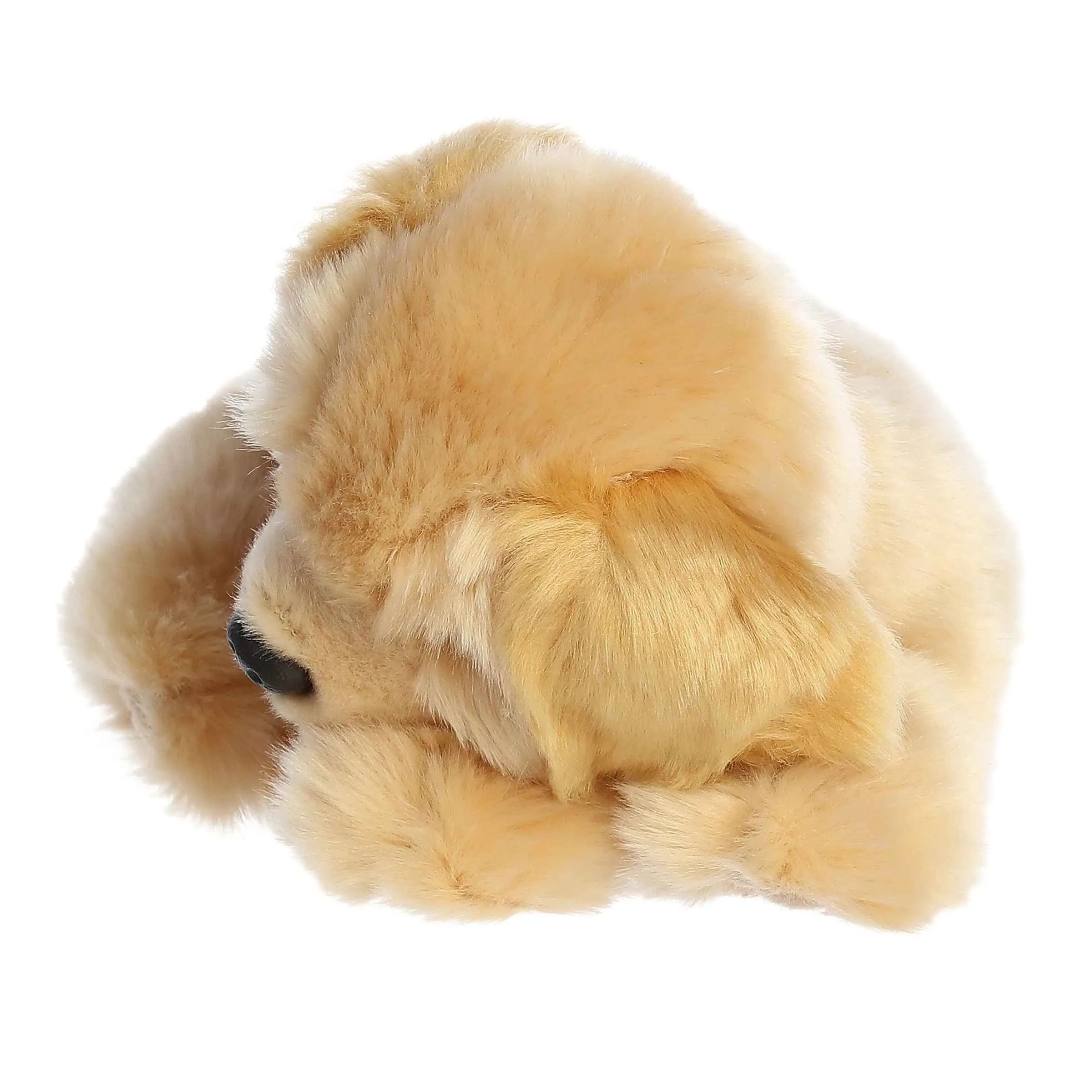 Sleepy Golden Retriever Pup