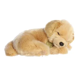 Sleepy Golden Retriever Pup