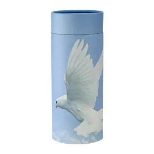The Rising Dove Scattering Tube