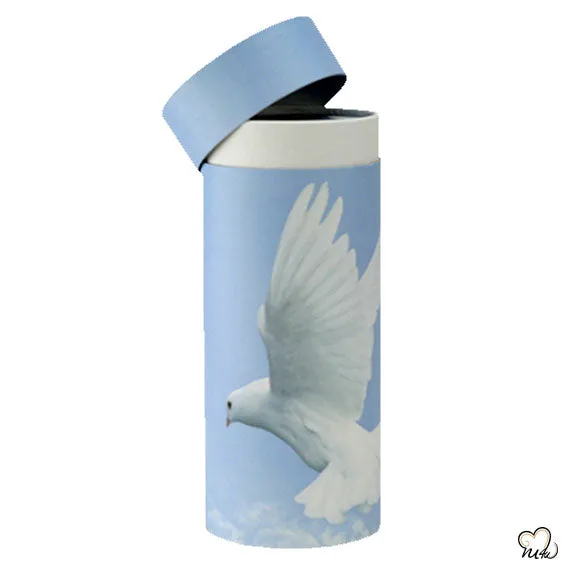 The Rising Dove Scattering Tube